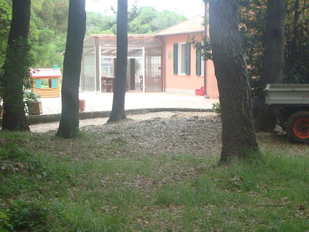 Bed & Breakfast Agriturismo 